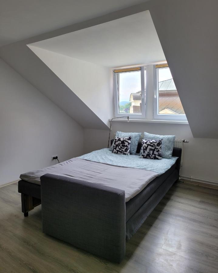 Excellent Apartments Central 3 Min Walk From The Colonnade Karlovy Vary Bagian luar foto