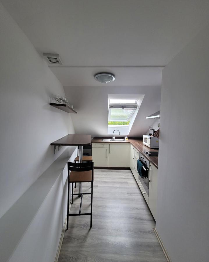 Excellent Apartments Central 3 Min Walk From The Colonnade Karlovy Vary Bagian luar foto